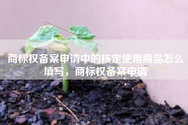商标权备案申请中的核定使用商品怎么填写，商标权备案申请
