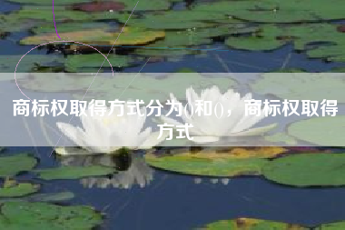 商标权取得方式分为()和()，商标权取得方式
