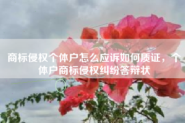 商标侵权个体户怎么应诉如何质证，个体户商标侵权纠纷答辩状