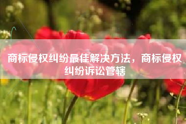 商标侵权纠纷最佳解决方法，商标侵权纠纷诉讼管辖