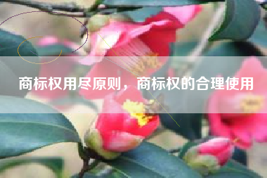 商标权用尽原则，商标权的合理使用