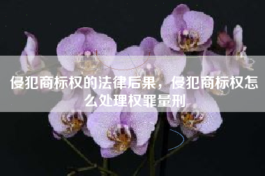 侵犯商标权的法律后果，侵犯商标权怎么处理权罪量刑