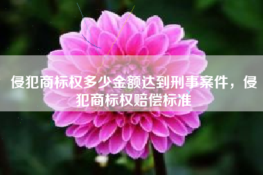 侵犯商标权多少金额达到刑事案件，侵犯商标权赔偿标准