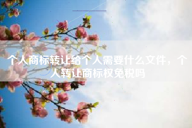 个人商标转让给个人需要什么文件，个人转让商标权免税吗