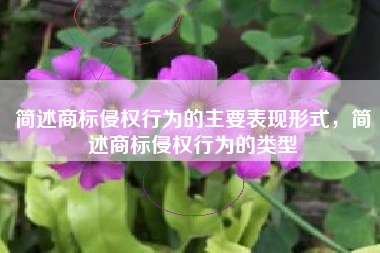 简述商标侵权行为的主要表现形式，简述商标侵权行为的类型