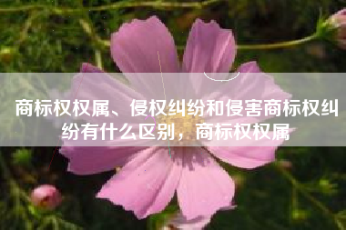 商标权权属、侵权纠纷和侵害商标权纠纷有什么区别，商标权权属