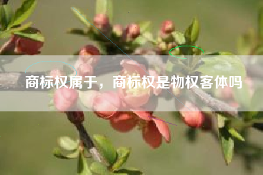 商标权属于，商标权是物权客体吗