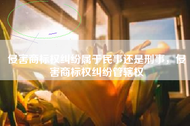 侵害商标权纠纷属于民事还是刑事，侵害商标权纠纷管辖权