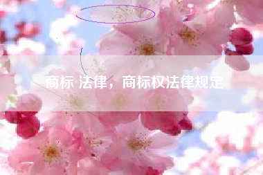 商标 法律，商标权法律规定