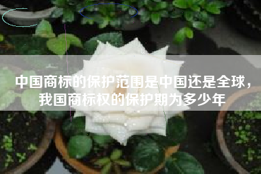 中国商标的保护范围是中国还是全球，我国商标权的保护期为多少年