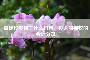 商标投资属于什么科目，投入商标权的会计分录