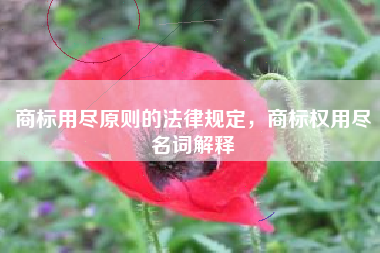 商标用尽原则的法律规定，商标权用尽名词解释