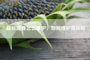 商标需要怎么维护，如何维护商标权