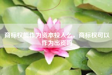 商标权能作为资本投入么，商标权可以作为出资吗