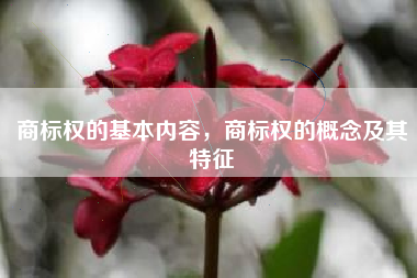 商标权的基本内容，商标权的概念及其特征