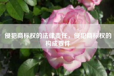 侵犯商标权的法律责任，侵犯商标权的构成要件