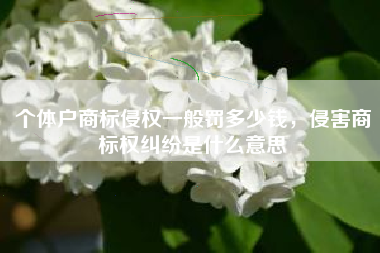 个体户商标侵权一般罚多少钱，侵害商标权纠纷是什么意思