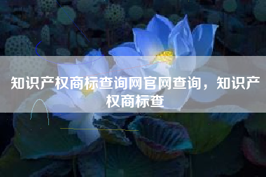 知识产权商标查询网官网查询，知识产权商标查