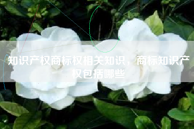 知识产权商标权相关知识，商标知识产权包括哪些