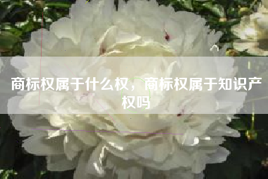 商标权属于什么权，商标权属于知识产权吗