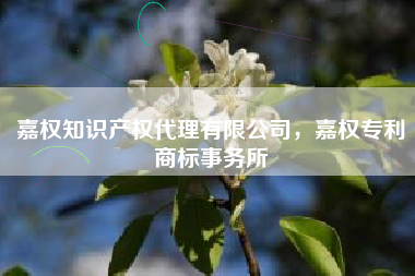 嘉权知识产权代理有限公司，嘉权专利商标事务所