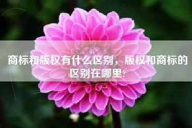 商标和版权有什么区别，版权和商标的区别在哪里?