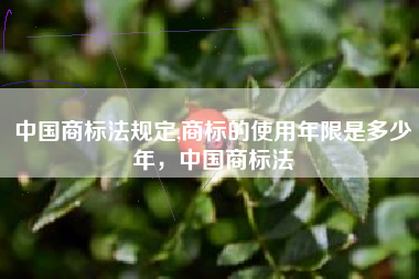 中国商标法规定,商标的使用年限是多少年，中国商标法