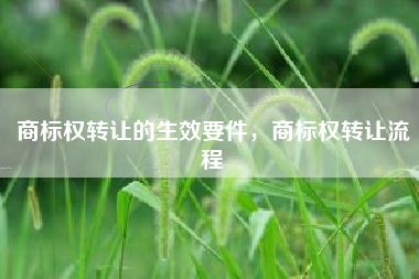 商标权转让的生效要件，商标权转让流程