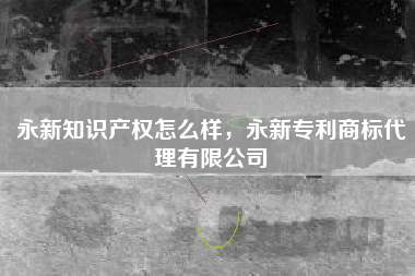 永新知识产权怎么样，永新专利商标代理有限公司