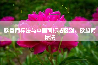 欧盟商标法与中国商标法区别，欧盟商标法