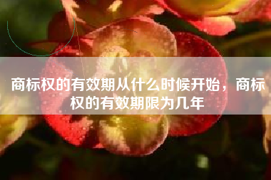商标权的有效期从什么时候开始，商标权的有效期限为几年