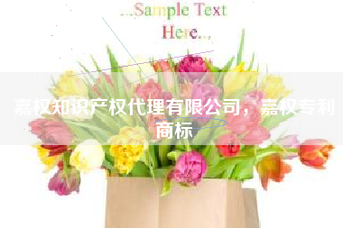 嘉权知识产权代理有限公司，嘉权专利商标