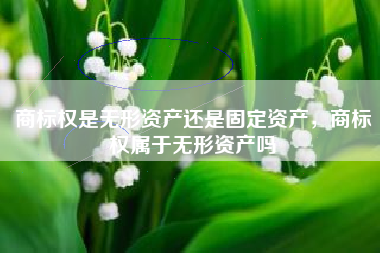 商标权是无形资产还是固定资产，商标权属于无形资产吗