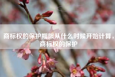 商标权的保护期限从什么时候开始计算，商标权的保护