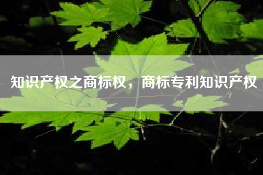 知识产权之商标权，商标专利知识产权