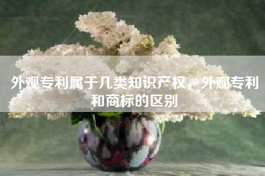 外观专利属于几类知识产权，外观专利和商标的区别