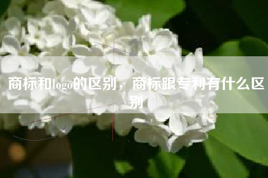 商标和logo的区别，商标跟专利有什么区别