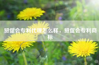 贸促会专利代理怎么样，贸促会专利商标