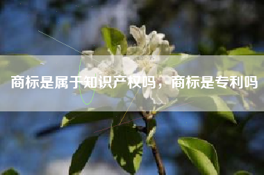 商标是属于知识产权吗，商标是专利吗