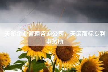 天策企业管理咨询公司，天策商标专利事务所