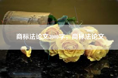 商标法论文3000字，商标法论文
