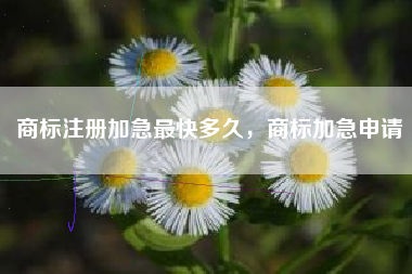 商标注册加急最快多久，商标加急申请