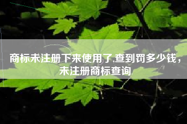 商标未注册下来使用了,查到罚多少钱，未注册商标查询