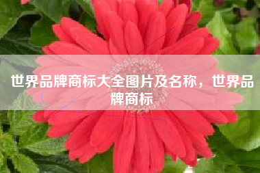 世界品牌商标大全图片及名称，世界品牌商标