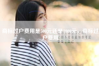 商标过户费用是500元还是1000元，商标过户费用
