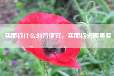 买商标什么地方便宜，买商标去哪里买
