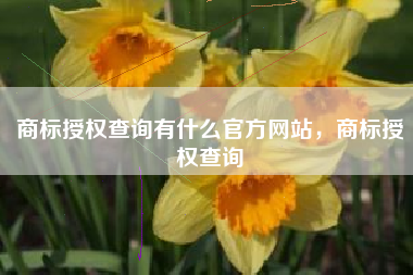 商标授权查询有什么官方网站，商标授权查询