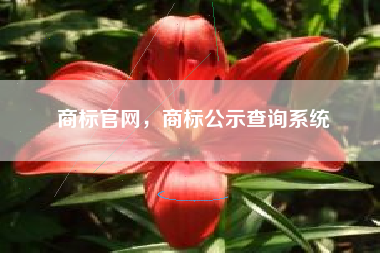 商标官网，商标公示查询系统