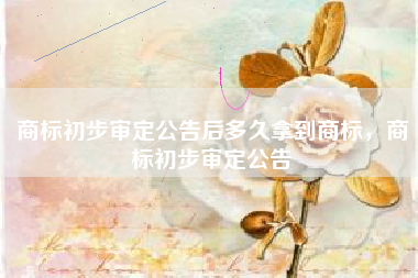 商标初步审定公告后多久拿到商标，商标初步审定公告