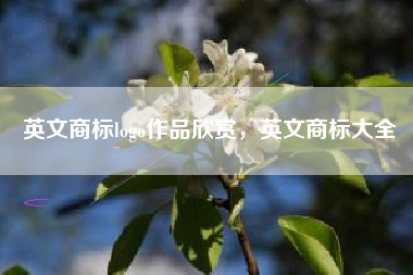 英文商标logo作品欣赏，英文商标大全